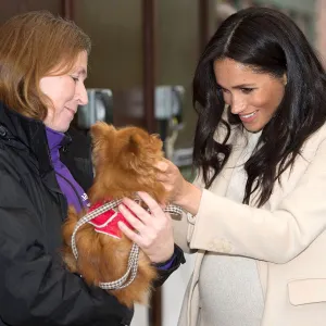 Meghan Markle Helping UK Animal Welfare Patronage Amid Pandemic