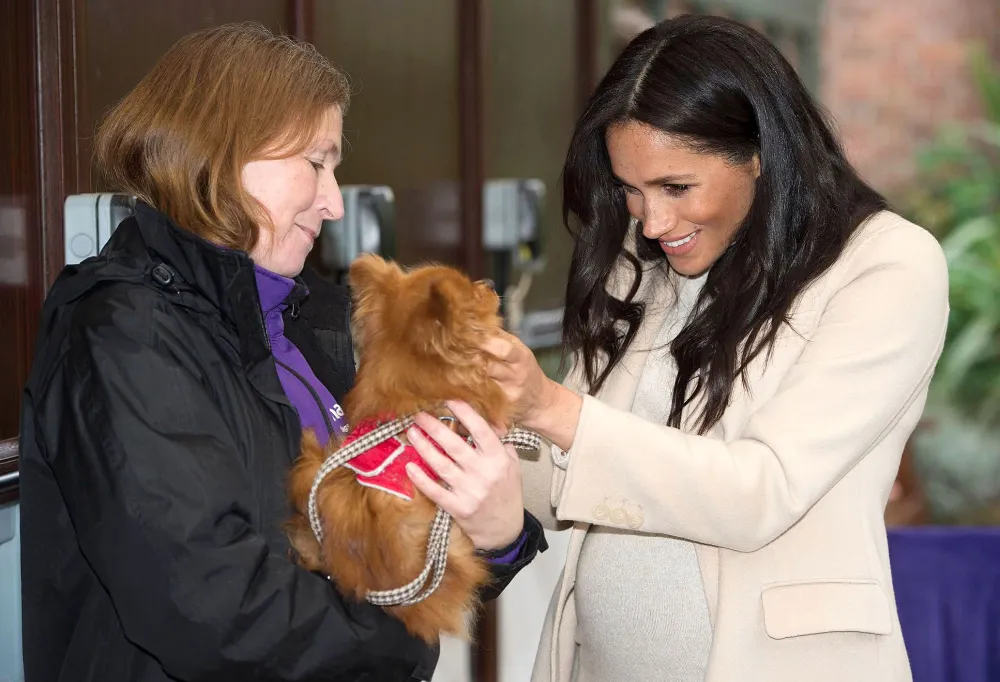 Meghan Markle Helping UK Animal Welfare Patronage Amid Pandemic
