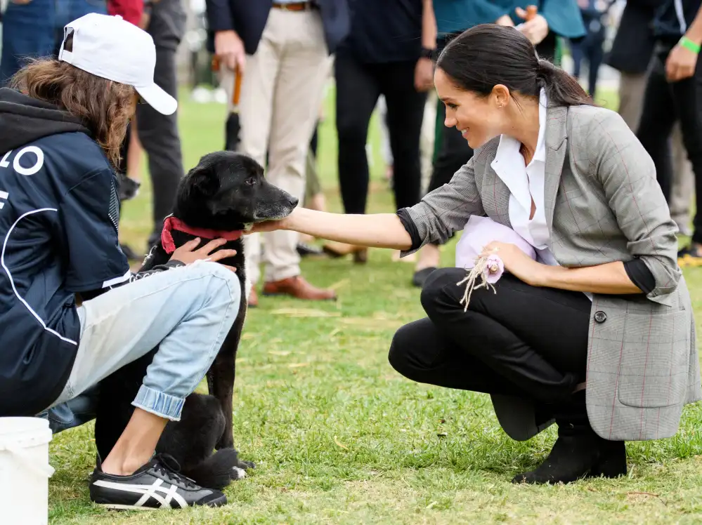 Meghan Markle Helping UK Animal Welfare Patronage Amid Pandemic