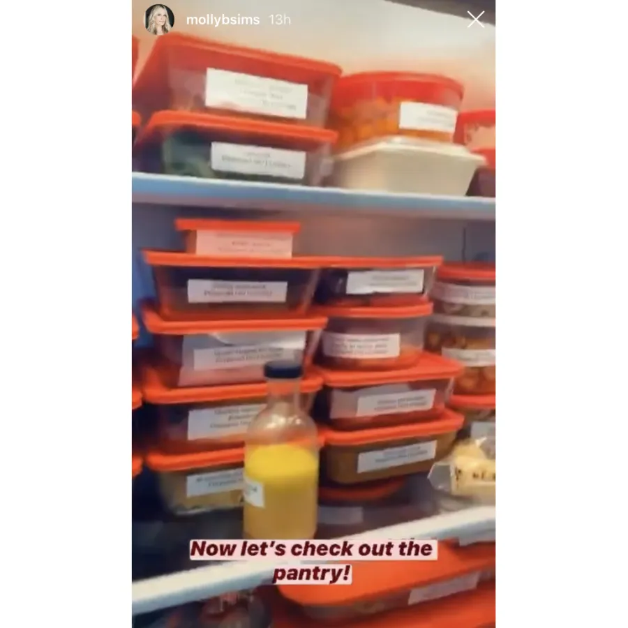 Molly Sims Shares a Peek Inside Her Pantry