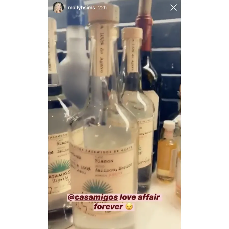 Molly Sims Shares a Peek Inside Her Pantry