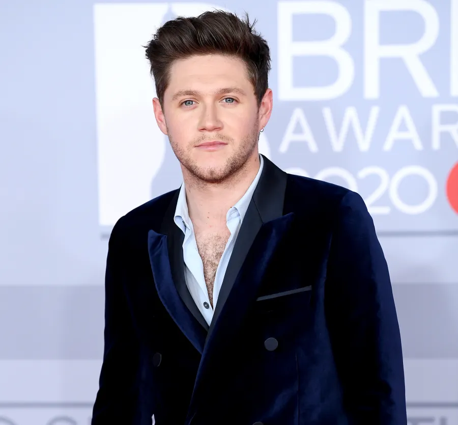 Niall Horan talks One Direction reunion