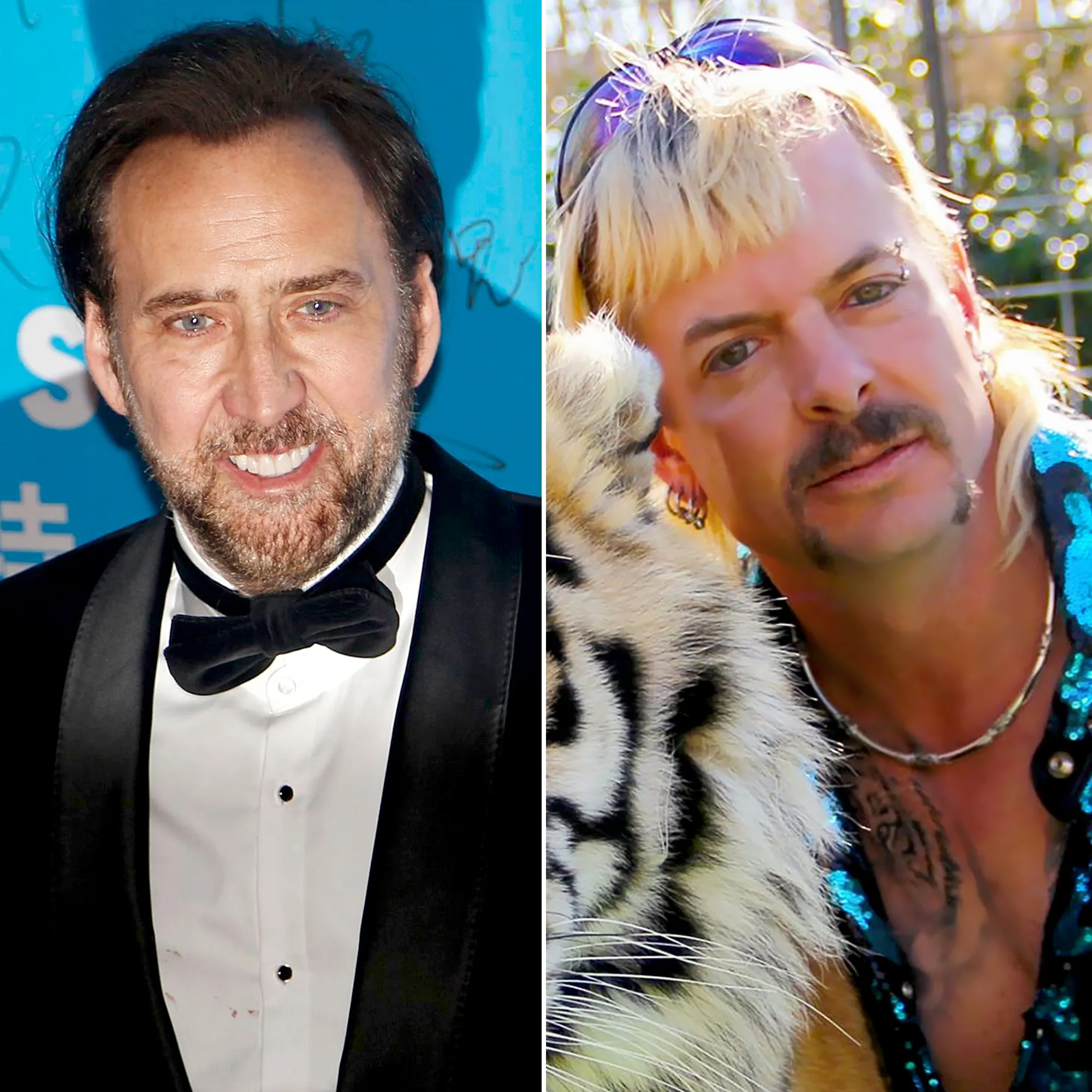 Nicholas Cage to Play Tiger King Joe Exotic