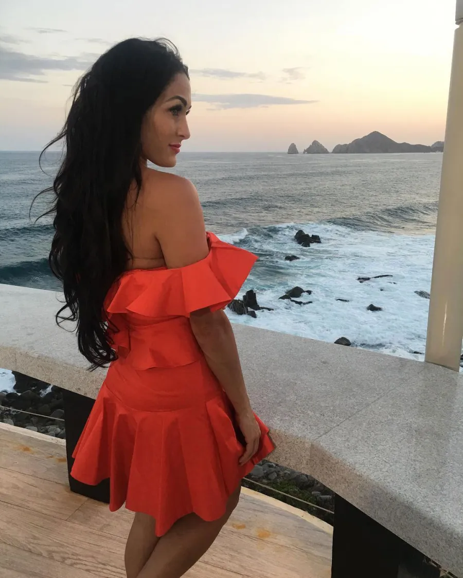 Nikki Bella Married Ugs Revelations