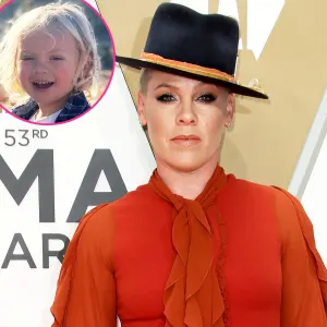 Pink Learned Her Son Has Bad Food Allergies After COVID-19 Blood Tests