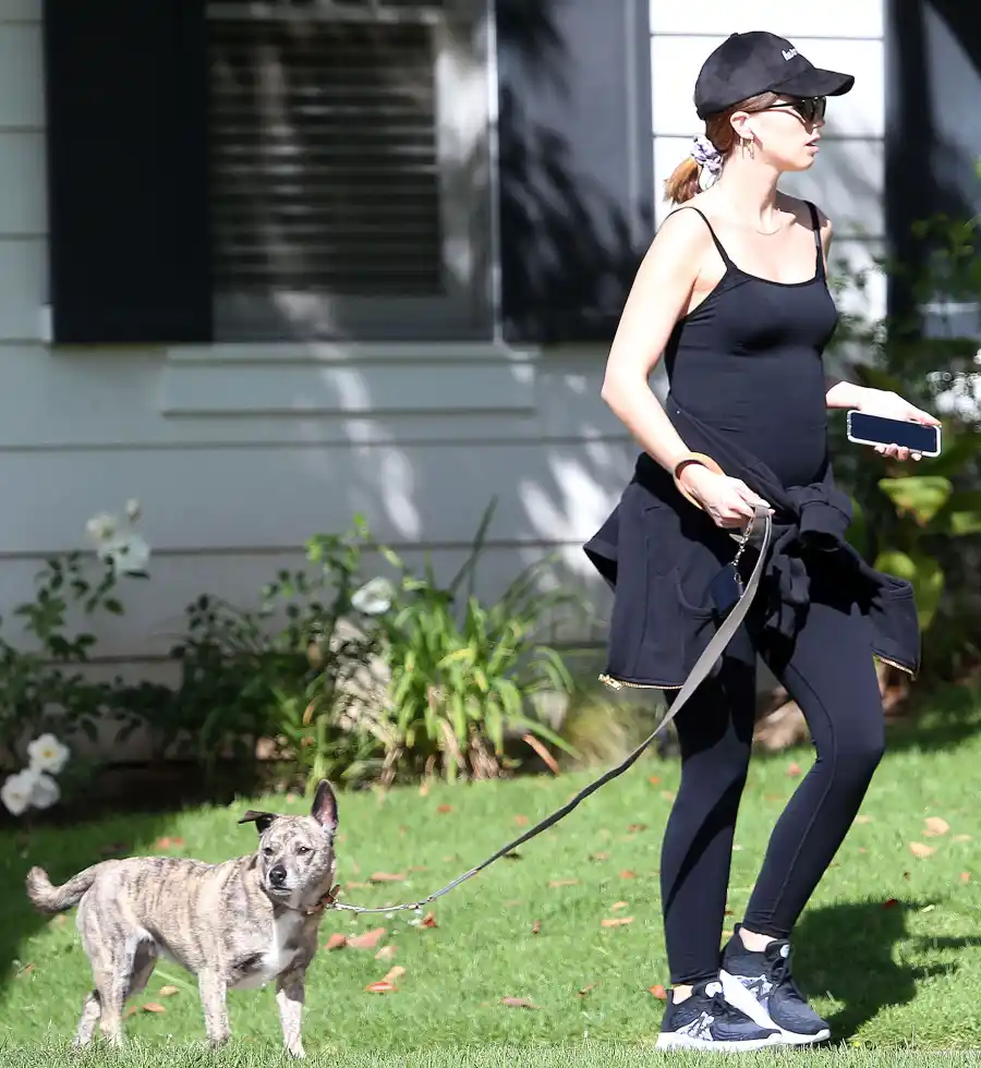 Pregnant Katherine Schwarzenegger Walking Her Dog