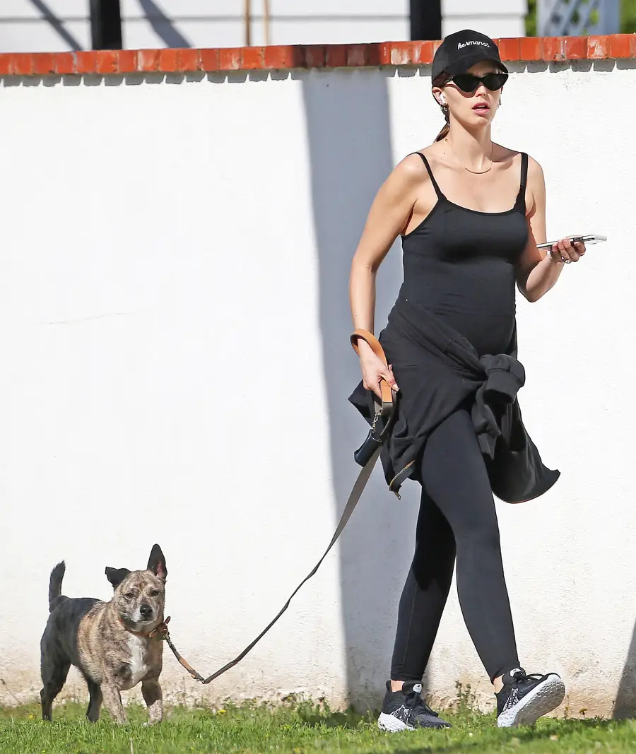 Pregnant Katherine Schwarzenegger Walking Her Dog