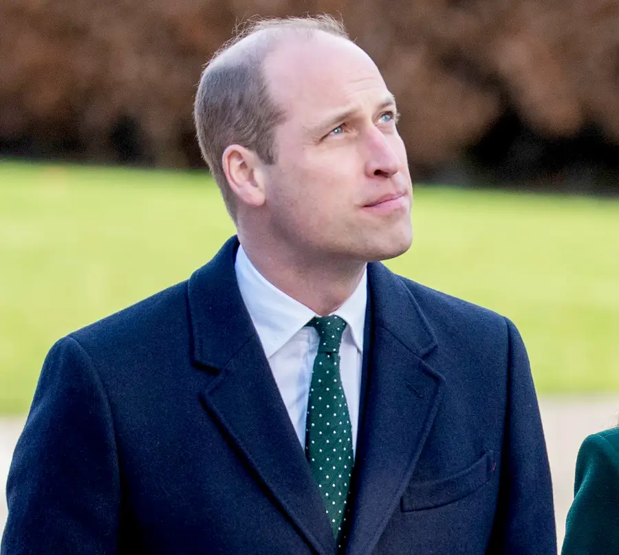 Prince William mental health quote