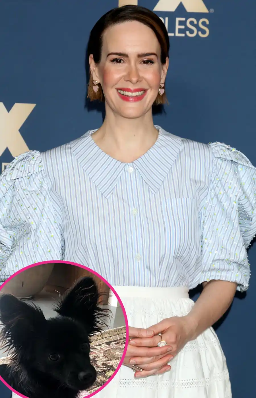 Sarah Paulson Stars Whove Adopted Fostered Pets Quarantine