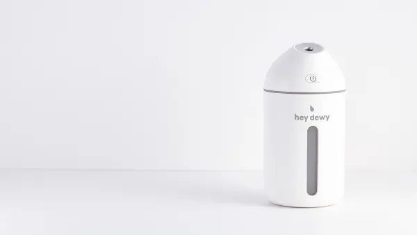 Hey Dewy Portable Facial Humidifier