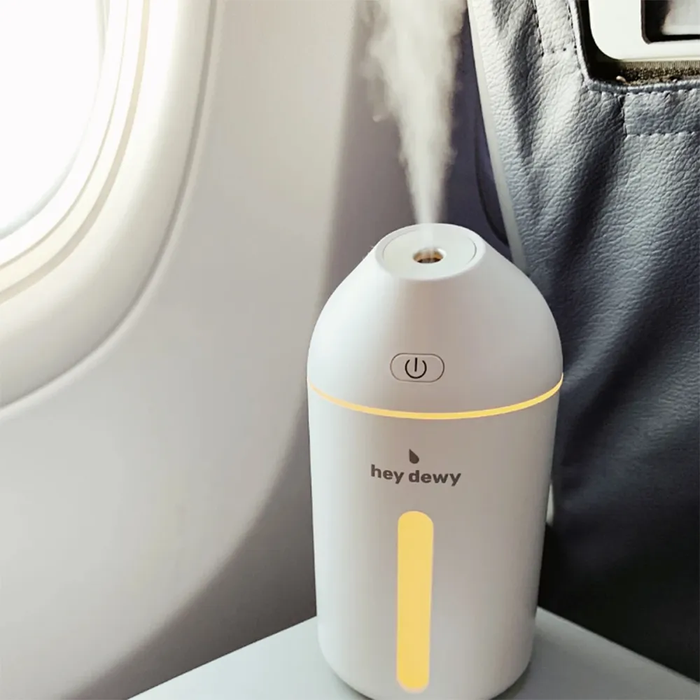 Hey Dewy Portable Facial Humidifier