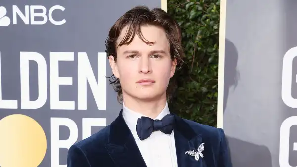 Ansel Elgort Speaks Out Amid Accusations of Sexual Assault