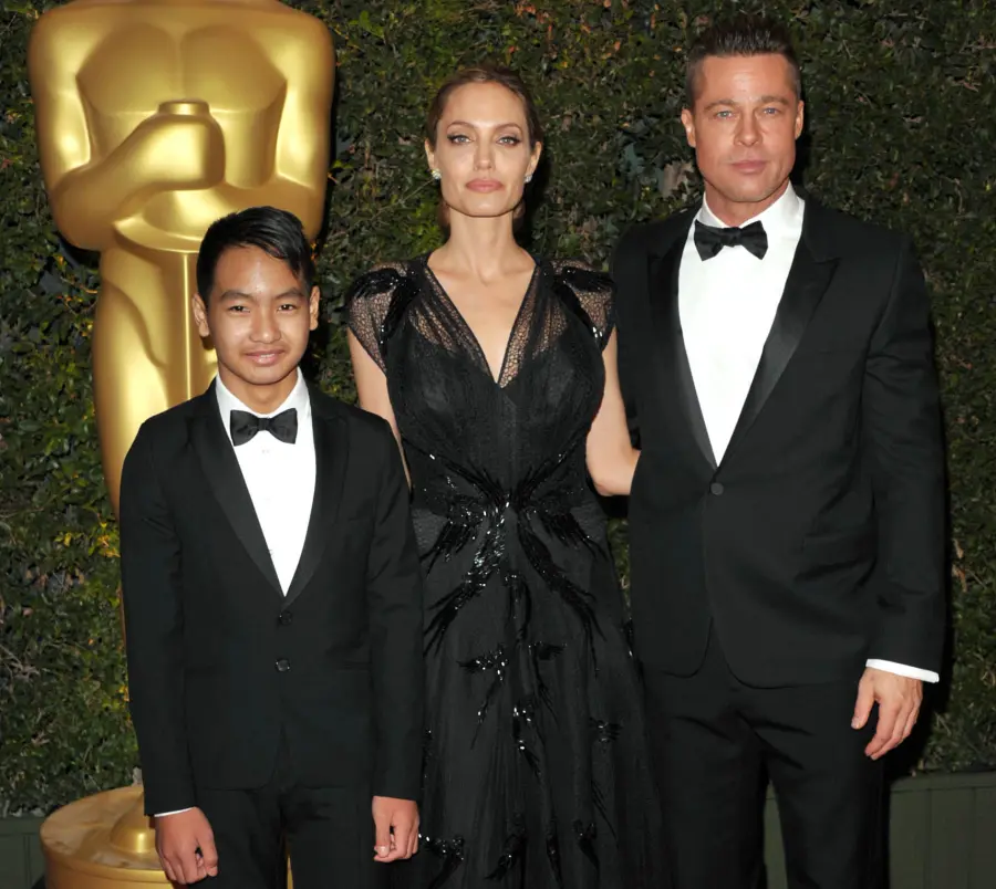 See Brad Pitt Angelina Jolie Family Album Pics With 6 Kids