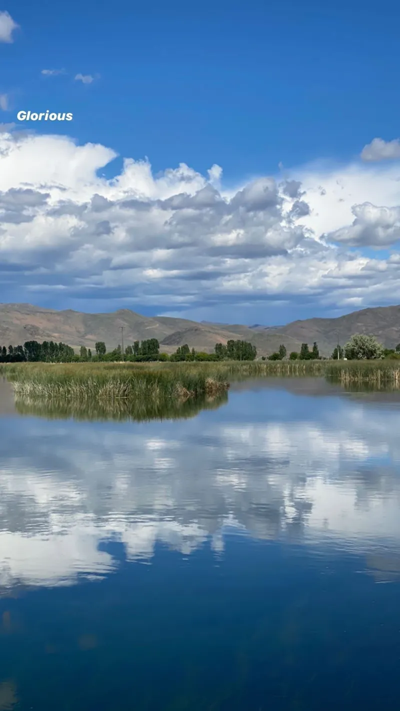 Bruce Willis and Emma Heming Celebrate Her Birthday With Demi Moore and Rumer Lake View