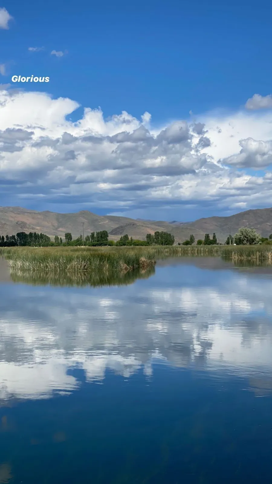 Bruce Willis and Emma Heming Celebrate Her Birthday With Demi Moore and Rumer Lake View