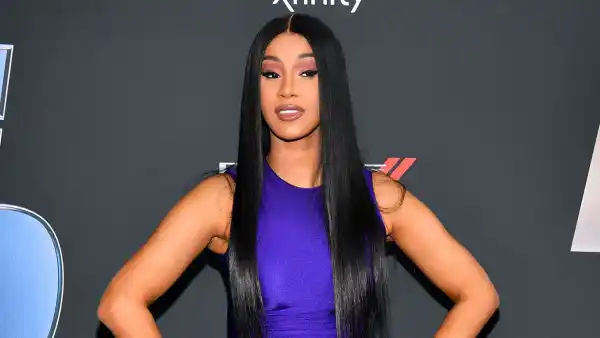 Cardi B Hair Mask Purple Dress