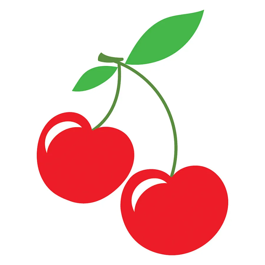 CherryPicks Luxury Handbag Shopping Issue 24 Buzzzz-o-Meter