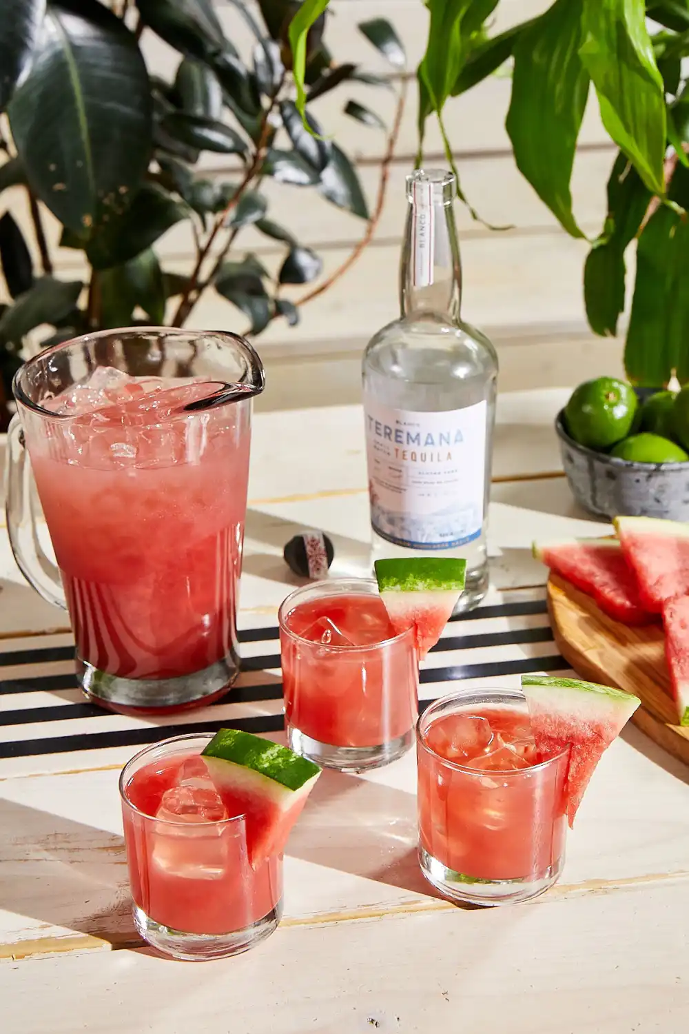 Dwayne The Rock Johnson Watermelon Manarita