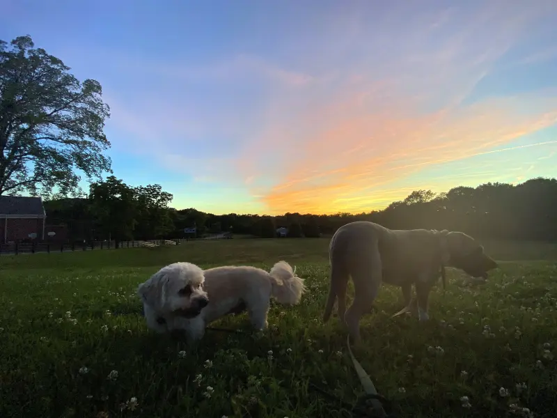 Inside Colbie Caillat Healthy Day