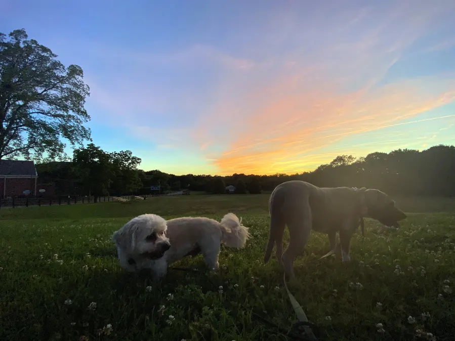 Inside Colbie Caillat Healthy Day