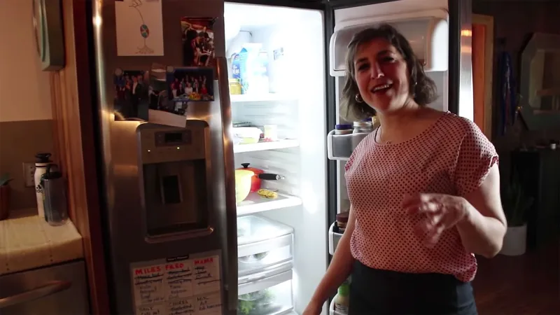 Mayim Bialik Meticulously Organized Fridges and Pantries