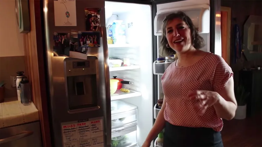 Mayim Bialik Meticulously Organized Fridges and Pantries