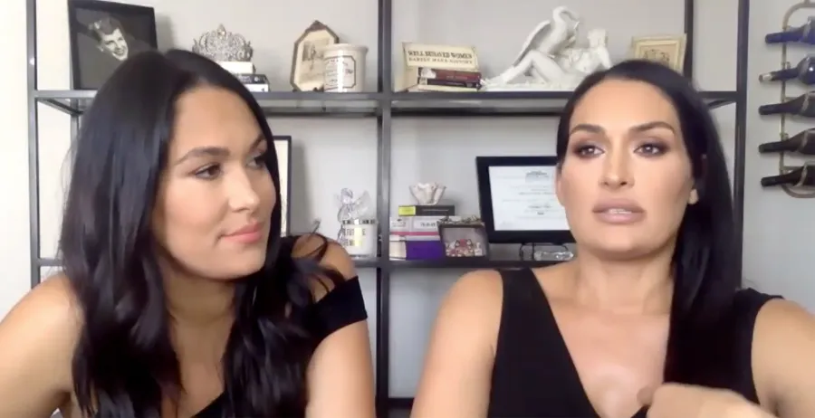 Nikki Bella and Brie Bella Share Plans to Film Their Births Amid Coronavirus Pandemic Racism Talks