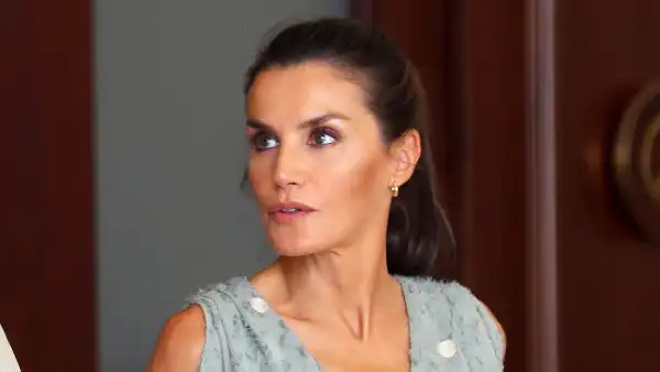 Queen Letizia's Regal Summer Dress Is a $25 Zara Number