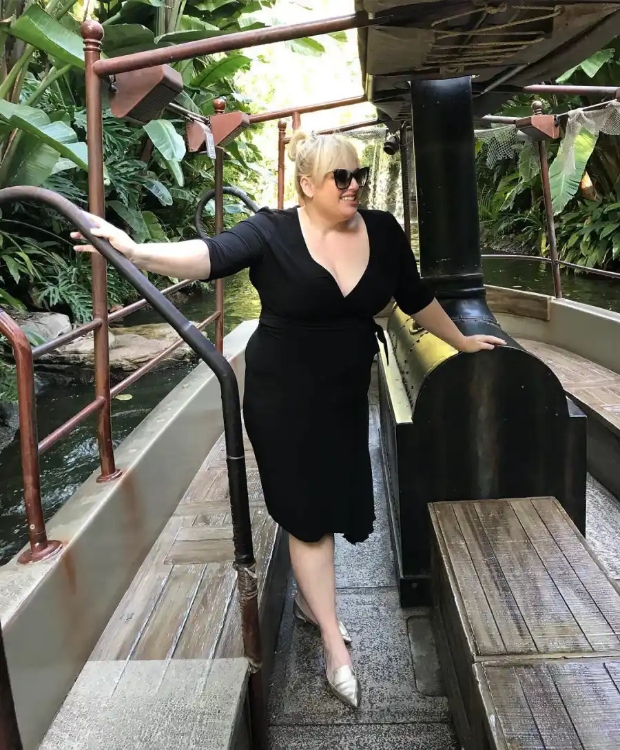 Rebel Wilson Transformation Through the Years