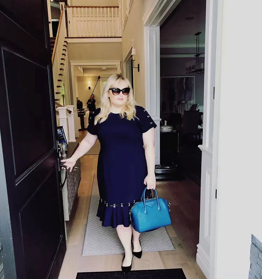 Rebel Wilson Transformation Through the Years