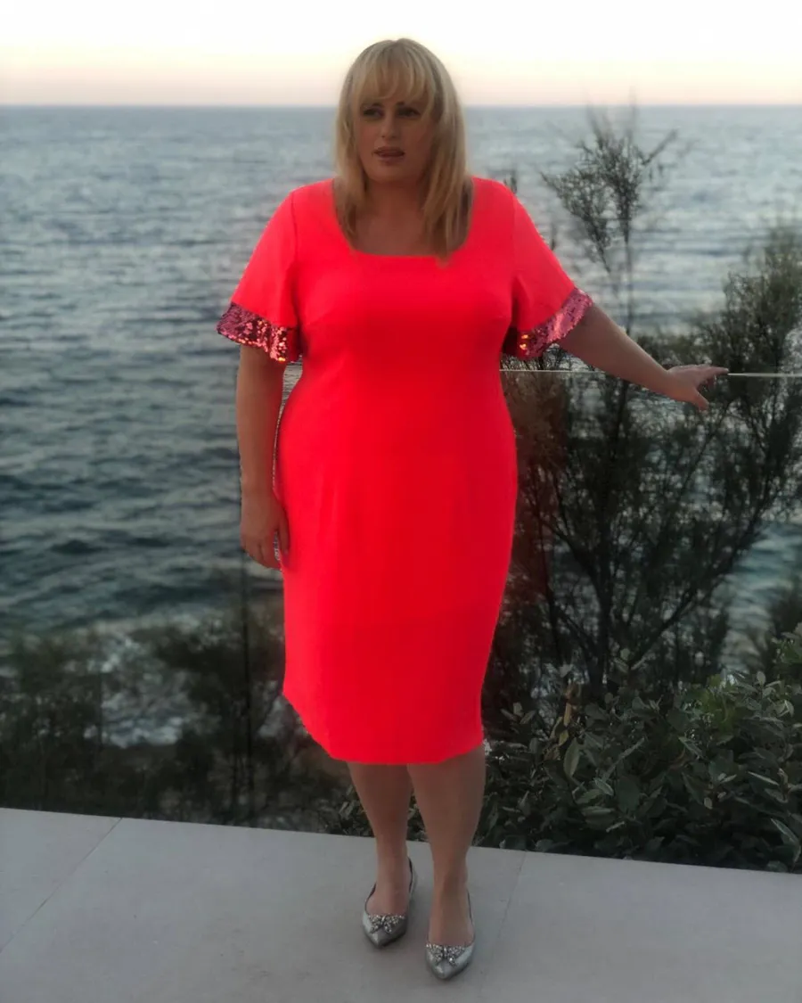 Rebel Wilson Transformation Through the Years