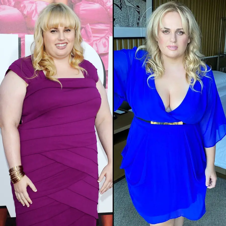 Rebel Wilson Transformation Through the Years