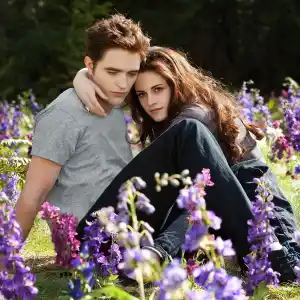 Robert Pattinson Kristen twilight where are they now