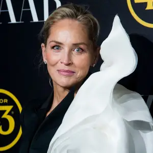 Sharon Stone Was Once Struck by Lightning and Thrown Across Her Kitchen