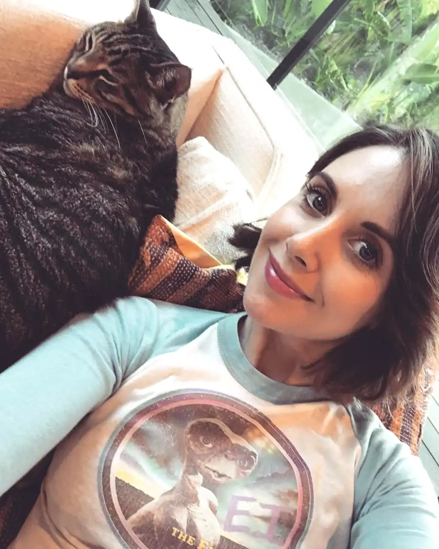 Celebrities Who Are Obsessed With Their Cats: Taylor Swift, Kate Beckinsale and More