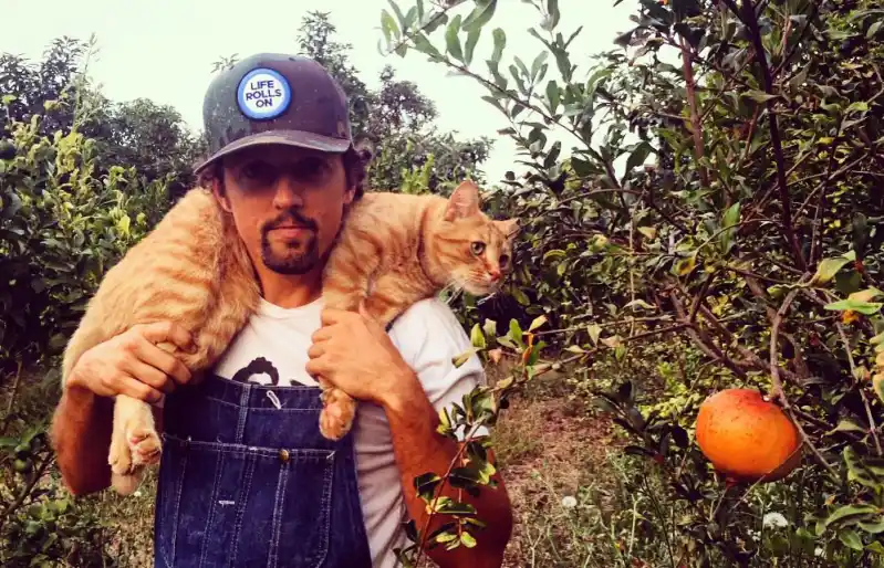 Celebrities Who Are Obsessed With Their Cats: Taylor Swift, Kate Beckinsale and More