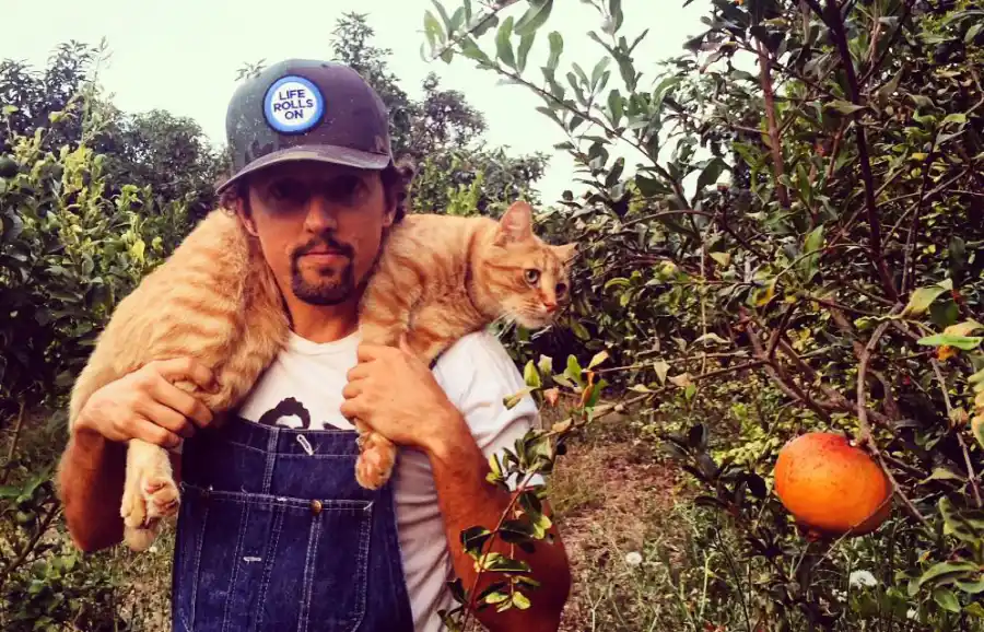 Celebrities Who Are Obsessed With Their Cats: Taylor Swift, Kate Beckinsale and More