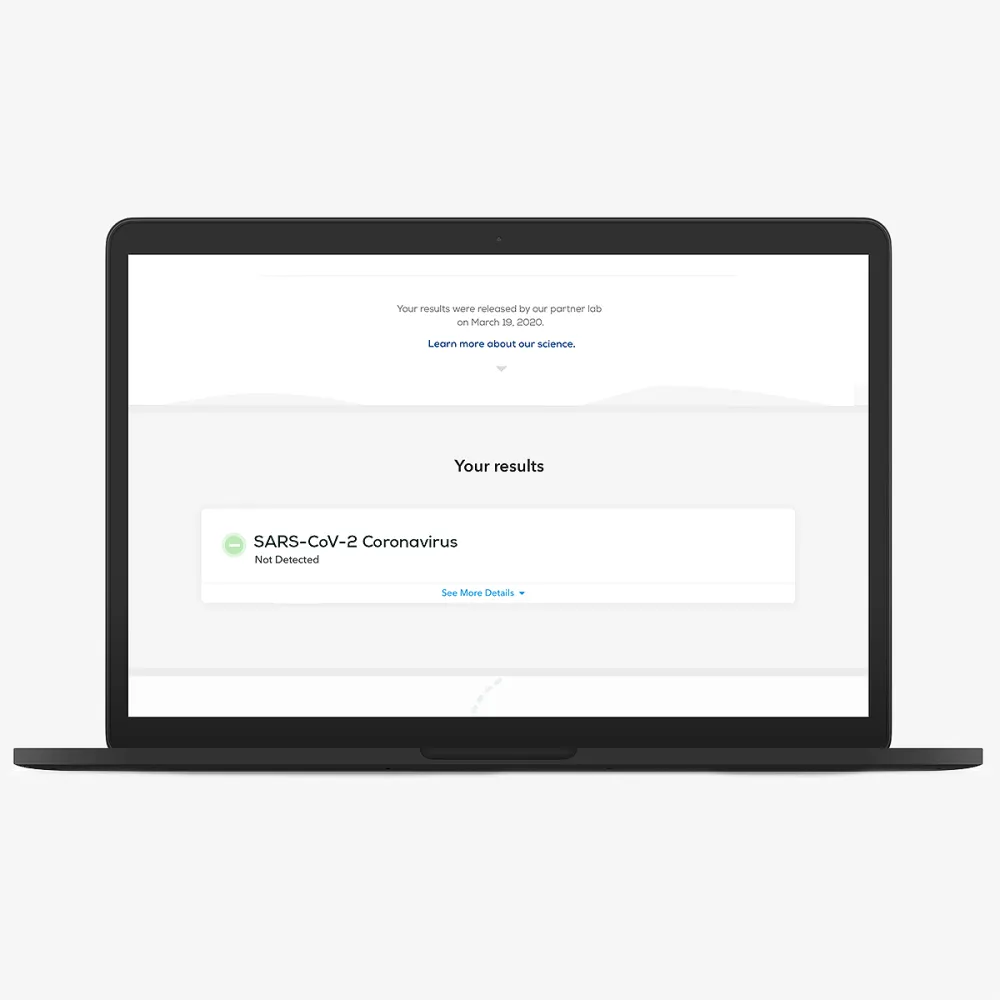 COVID-19 Test Replica Luxury Handbag Collection Kit