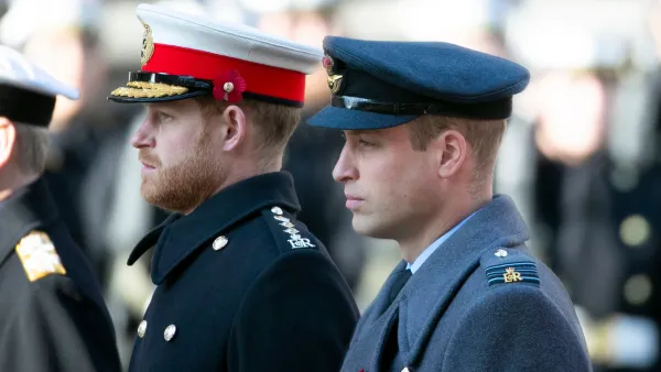 New Book About Prince William and Prince Harry's Rift Reveals 'Painful' Details