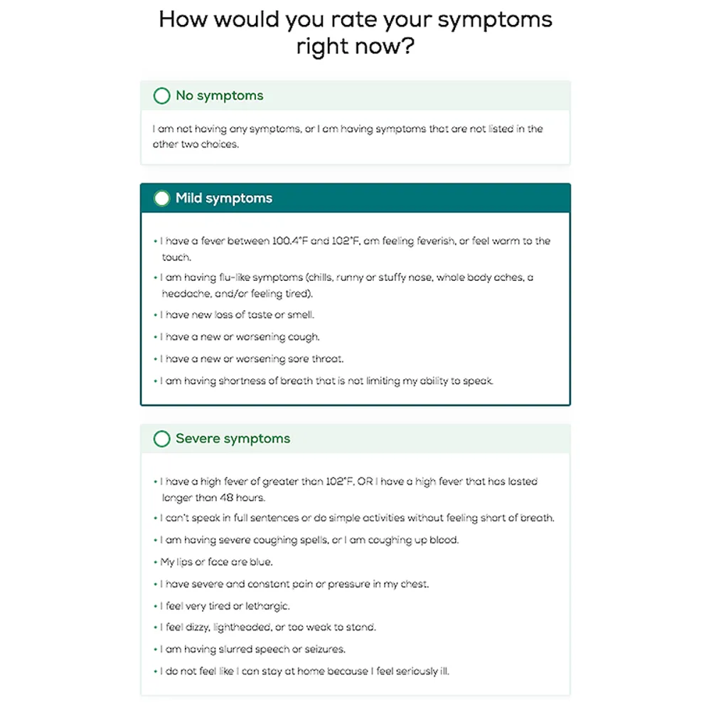 COVID-19 Test Replica Luxury Handbag Collection Kit