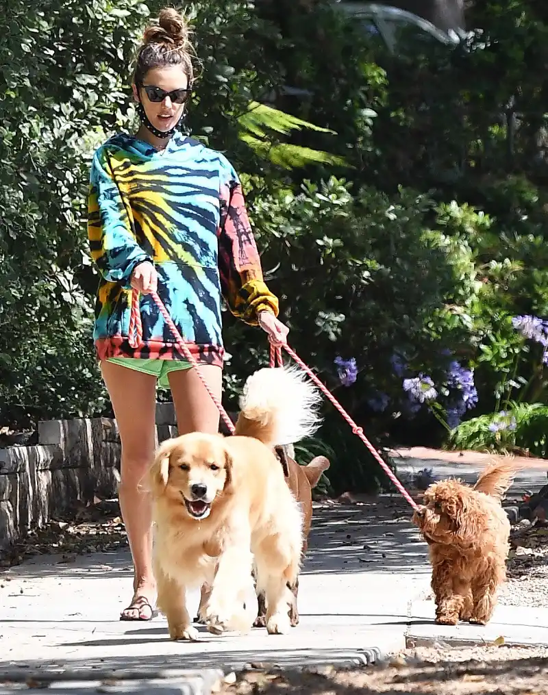 Alessandra Ambrosio dog walking