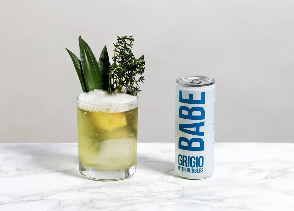 Babe Wine Chelsea Phillips Shares 4th of July Cocktail Recipes 3