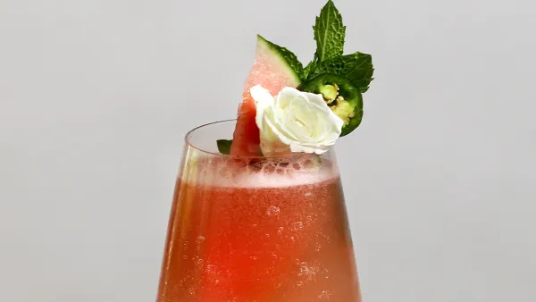 Babe Wine Chelsea Phillips Shares 4th of July Cocktail Recipes 3