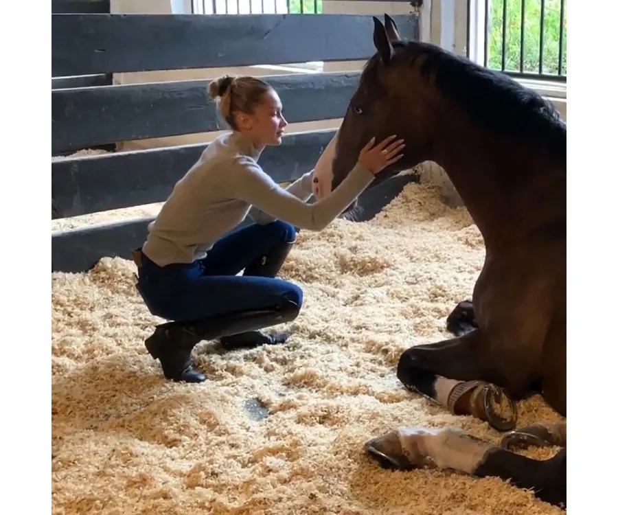 Proof That Bella Hadid's Farm Style May Be Better Than Her Red Carpet Looks