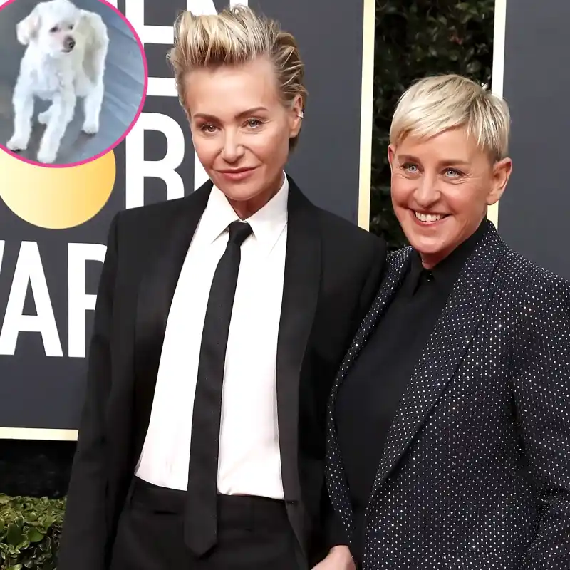 Ellen DeGeneres Portia de Rossi Say Goodbye Beloved Dog Wolf