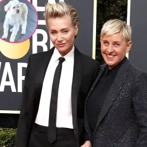 Ellen DeGeneres Portia de Rossi Say Goodbye Beloved Dog Wolf