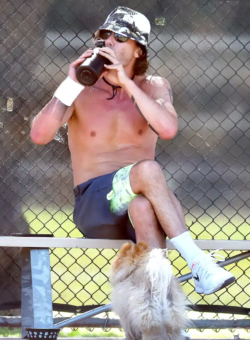 Gavin Rossdale water shirtless