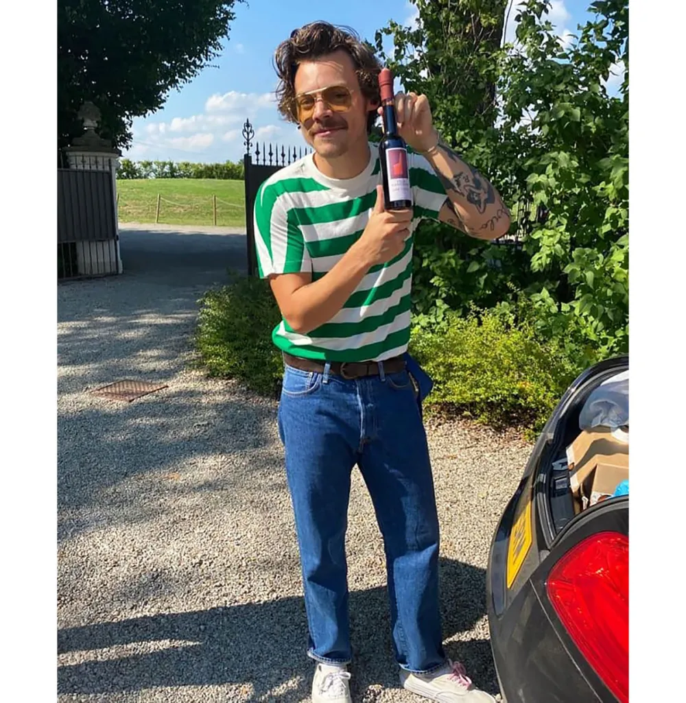 Harry Styles Debuts &lsquo;Mario Mustache&rsquo; 9 Years Later