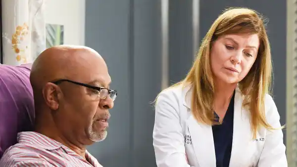 James Pickens Jr and Ellen Pompeo on Greys Anatomy How Greys Anatomy Is Preparing to Cover the Coronavirus Pandemic in Season 17