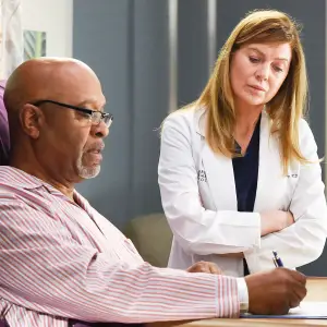 James Pickens Jr and Ellen Pompeo on Greys Anatomy How Greys Anatomy Is Preparing to Cover the Coronavirus Pandemic in Season 17